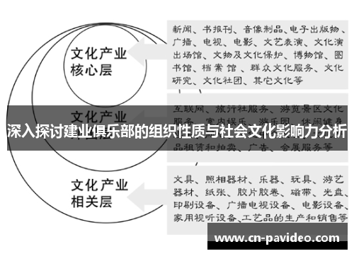 深入探讨建业俱乐部的组织性质与社会文化影响力分析